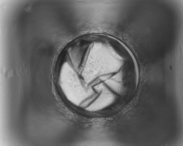 X0000044710145200501101327.png