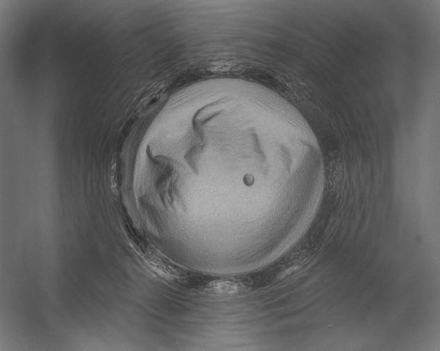 X0000055250272200509071623.png