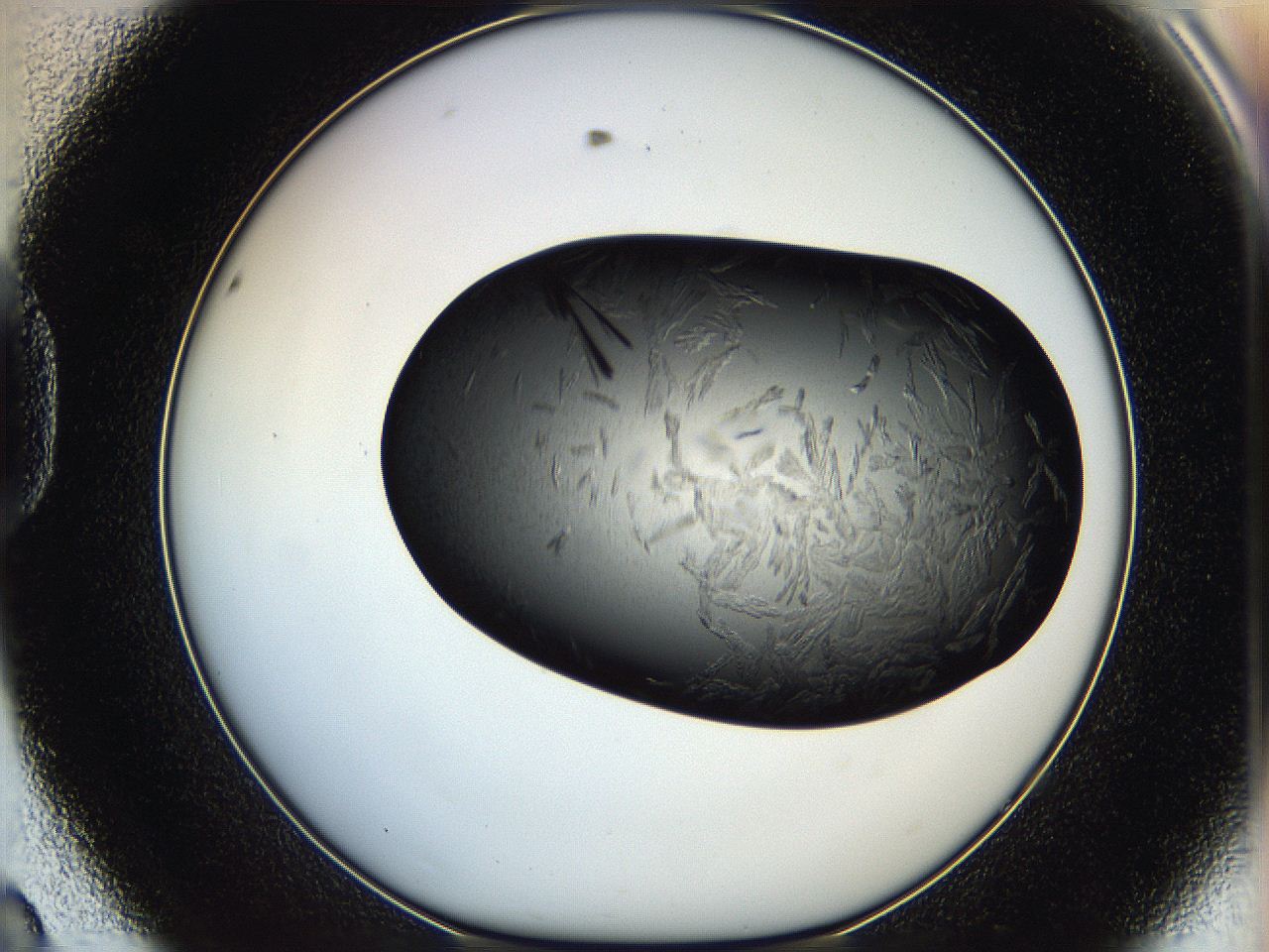 05hb_D8_ImagerDefaults_6.jpg
