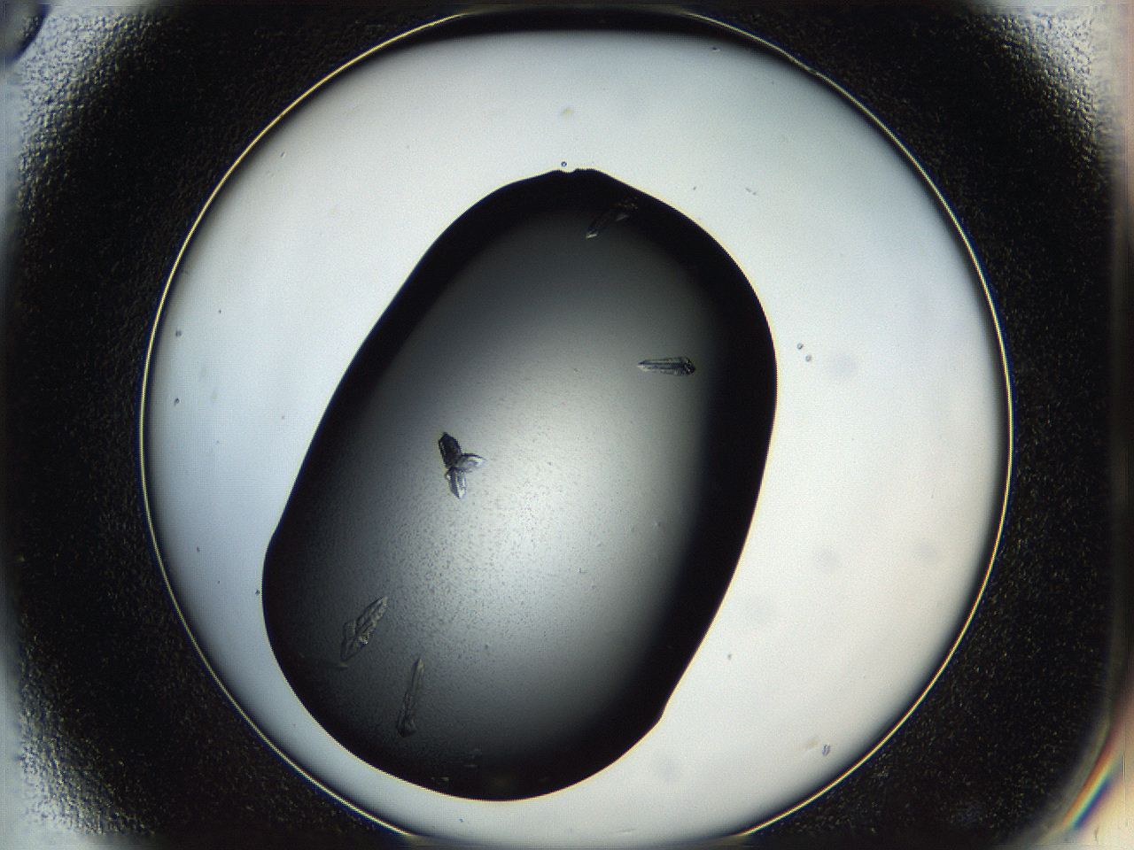 05hb_D8_ImagerDefaults_8.jpg