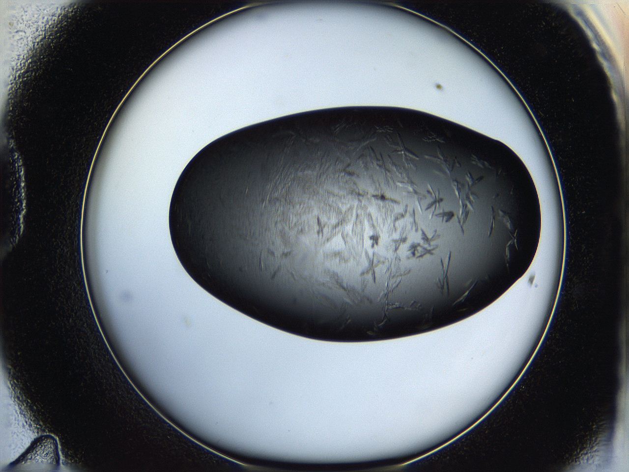 05hb_D11_ImagerDefaults_7.jpg