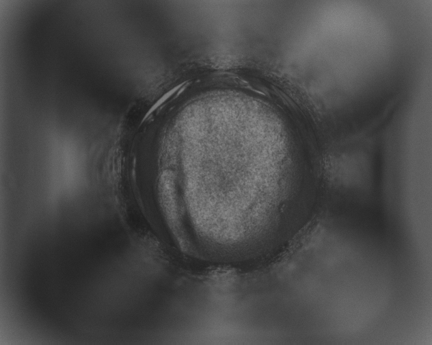 X0000044230214200501101646.png