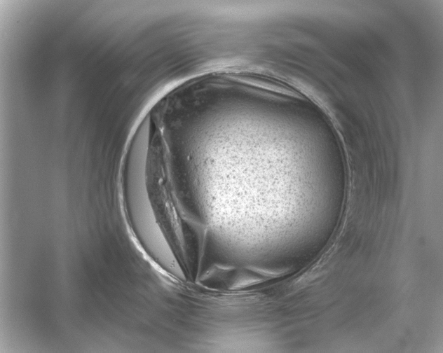 X0000054301440200508042258.png