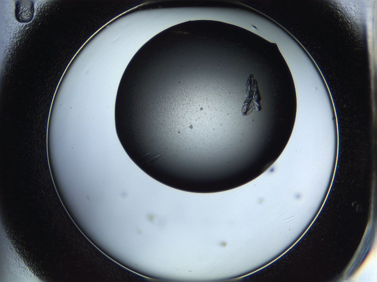 05hb_D11_ImagerDefaults_8.jpg