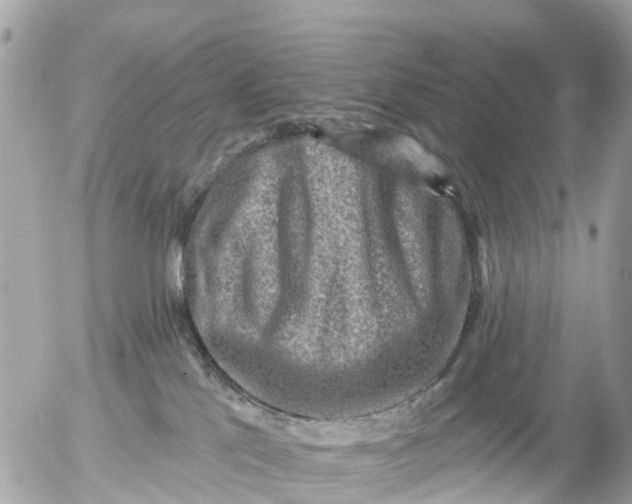 X0000055070041200508232340.png