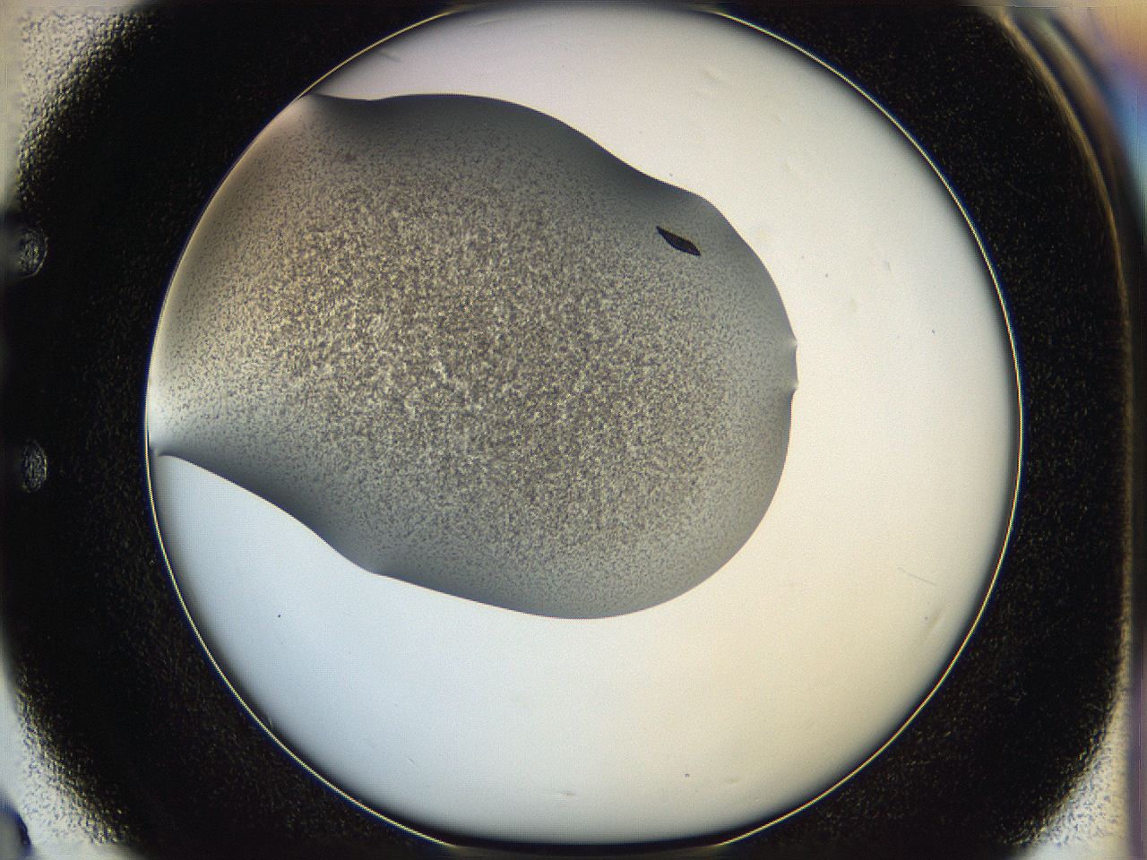 05hb_E3_ImagerDefaults_9.jpg