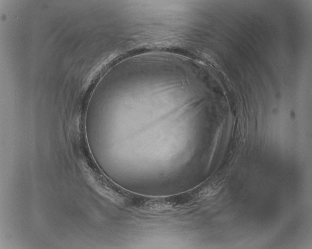 X0000054650491200508091645.png