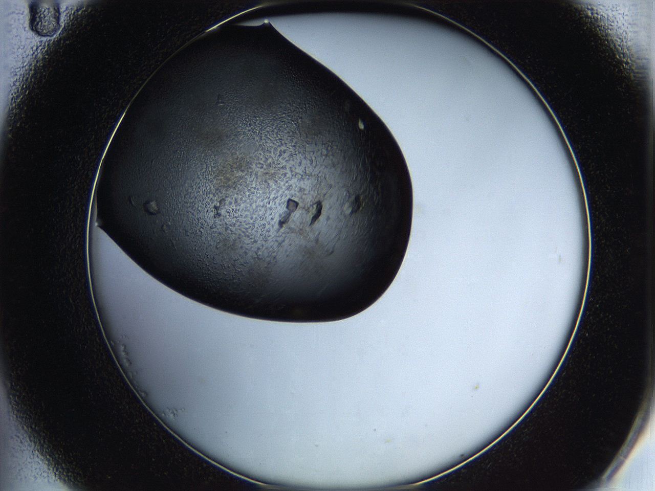 05hb_B11_ImagerDefaults_8.jpg