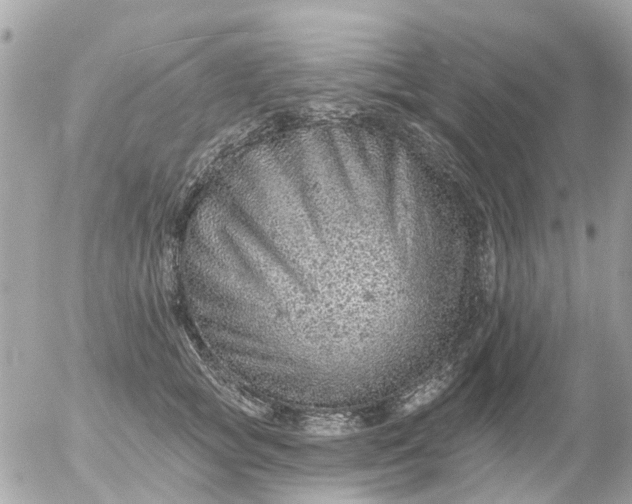 X0000055070757200508232328.png