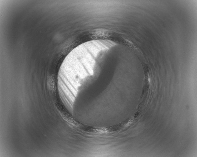X0000054350715200508190128.png