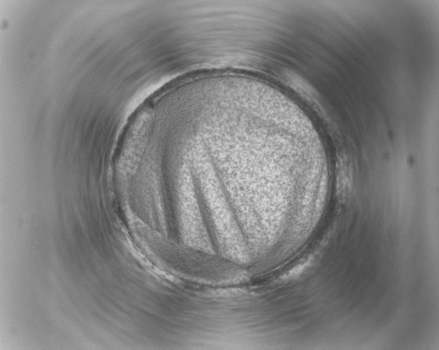 X0000055070876200508232326.png