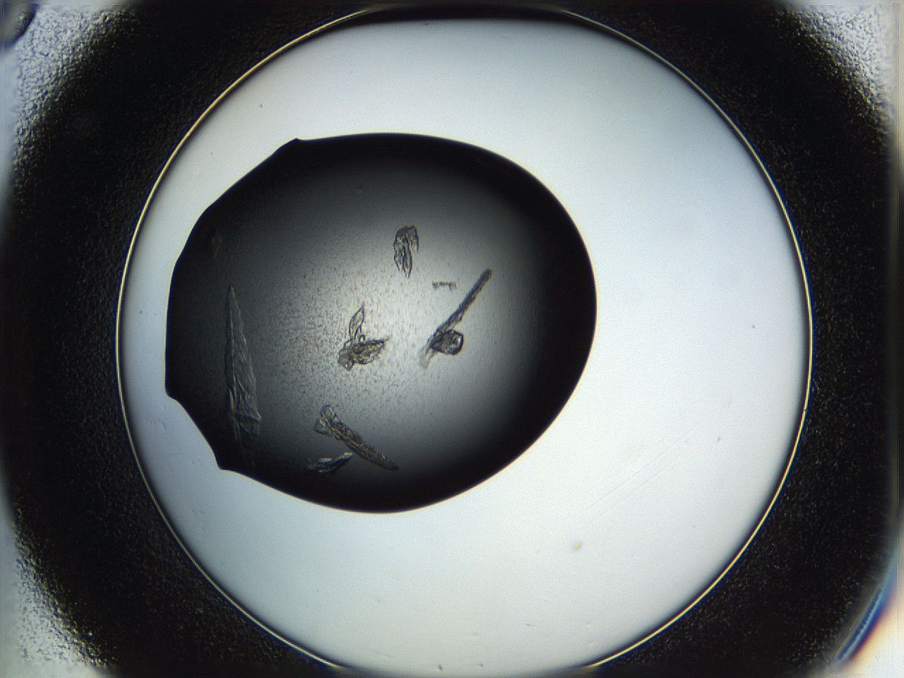 05hb_C8_ImagerDefaults_7.jpg