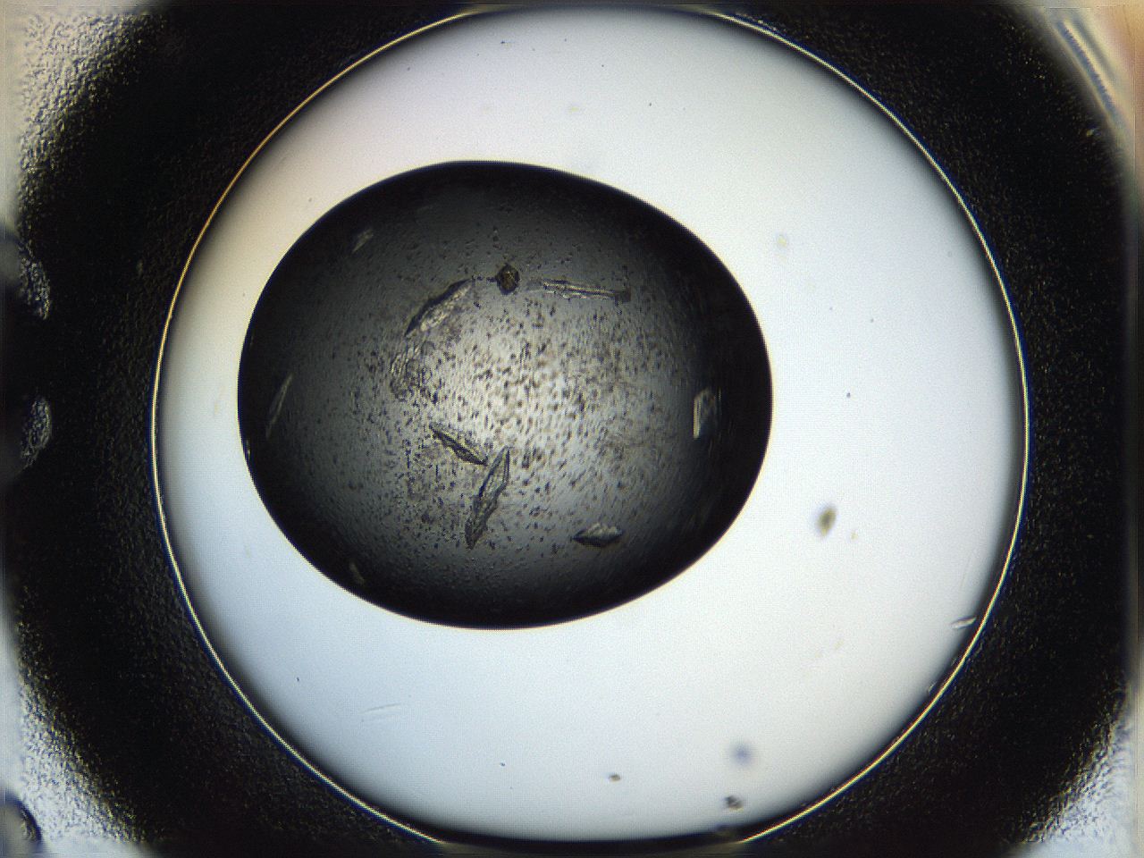 05hb_C8_ImagerDefaults_9.jpg