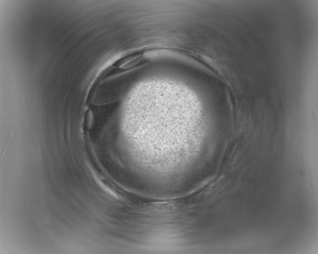 X0000054300050200508042320.png