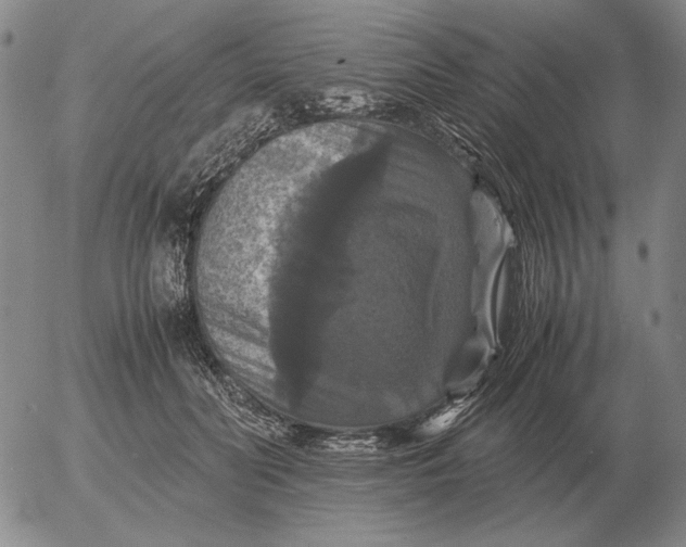 X0000054170606200508101801.png
