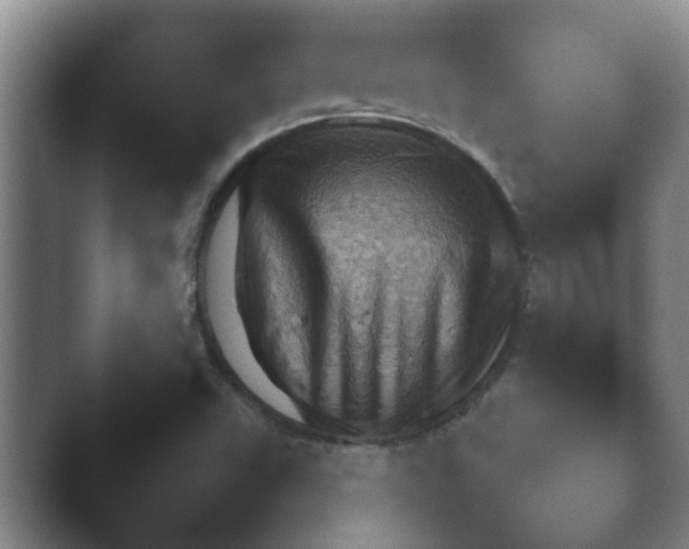 X0000043831503200501051219.png