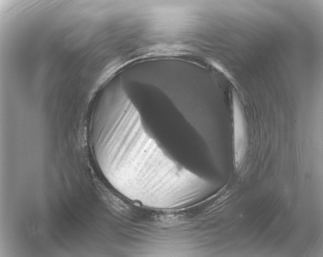 X0000054351459200508190115.png