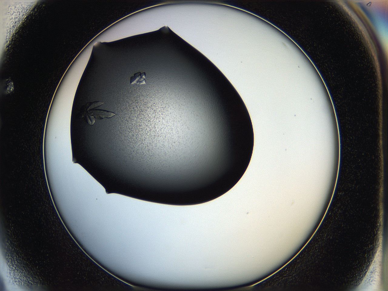 05hc_F4_ImagerDefaults_7.jpg