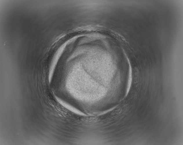 X0000055211158200508301314.png