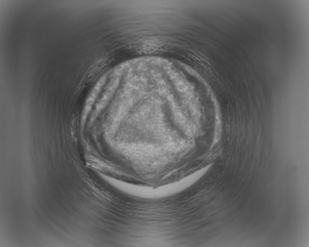 X0000055210503200508301325.png