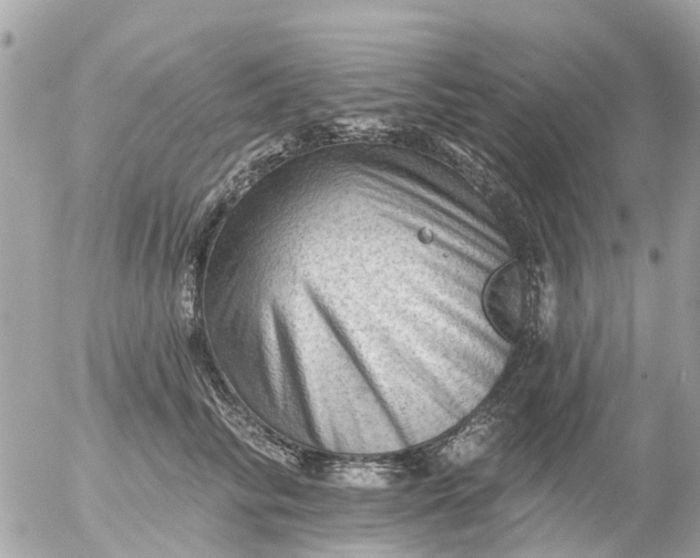 X0000055070710200508232329.png