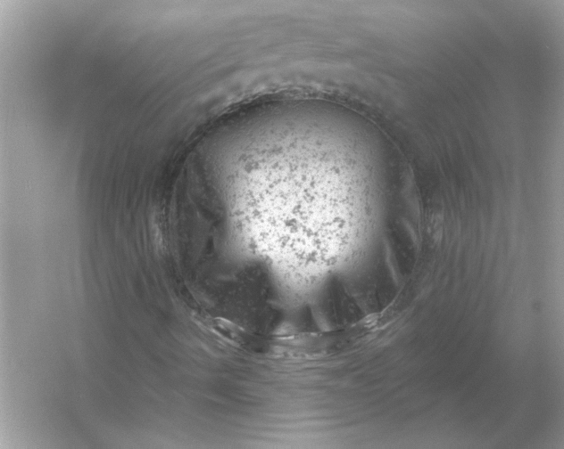 X0000054301490200508042256.png