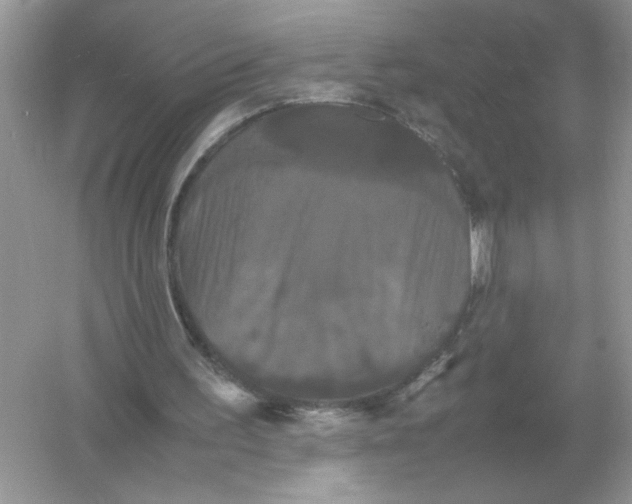 X0000054350195200508190137.png