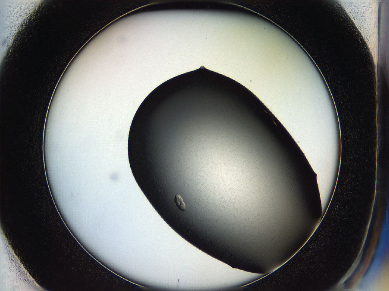 05hc_F1_ImagerDefaults_7.jpg