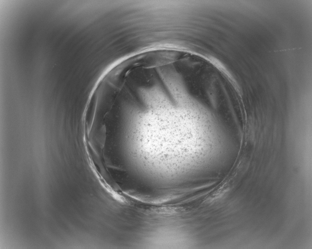 X0000054300862200508042308.png