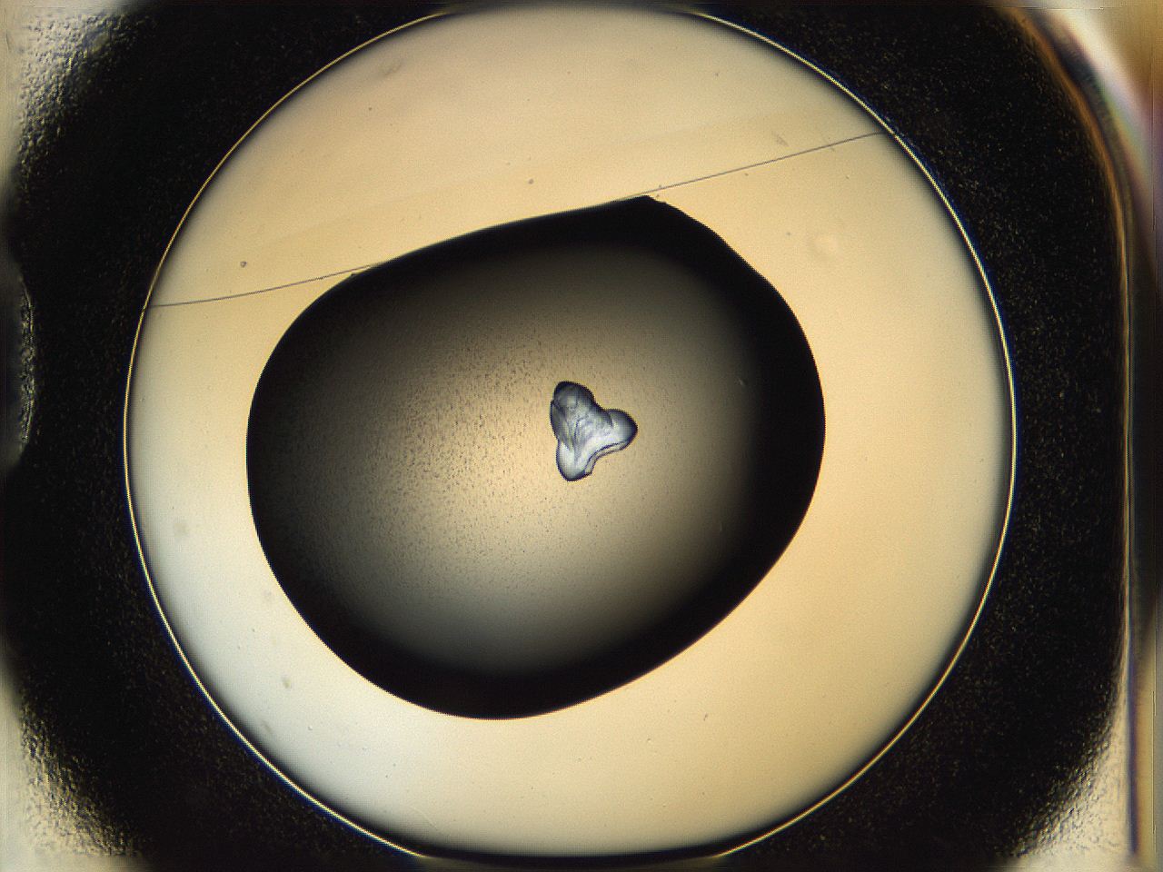 05hc_D1_ImagerDefaults_7.jpg
