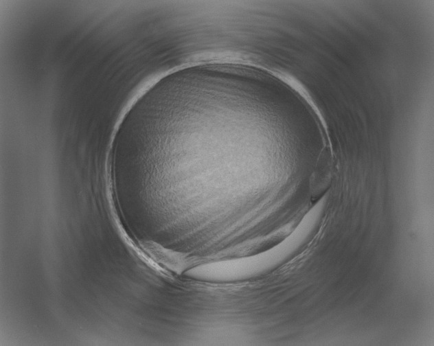 X0000055251389200509071604.png