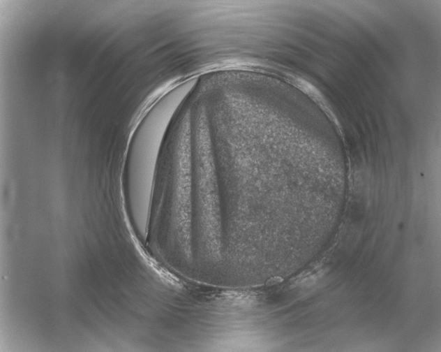 X0000054300954200508042307.png