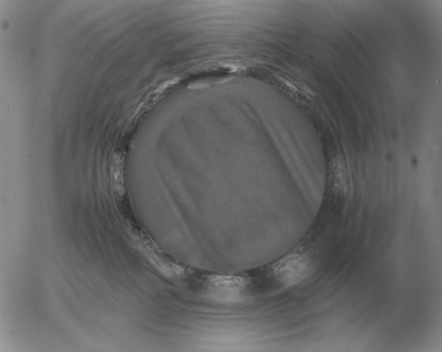 X0000054170234200508101807.png