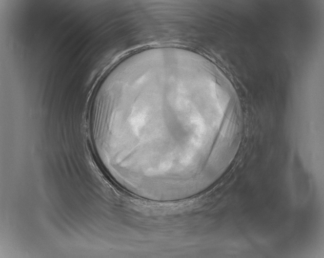 X0000055250002200509071627.png