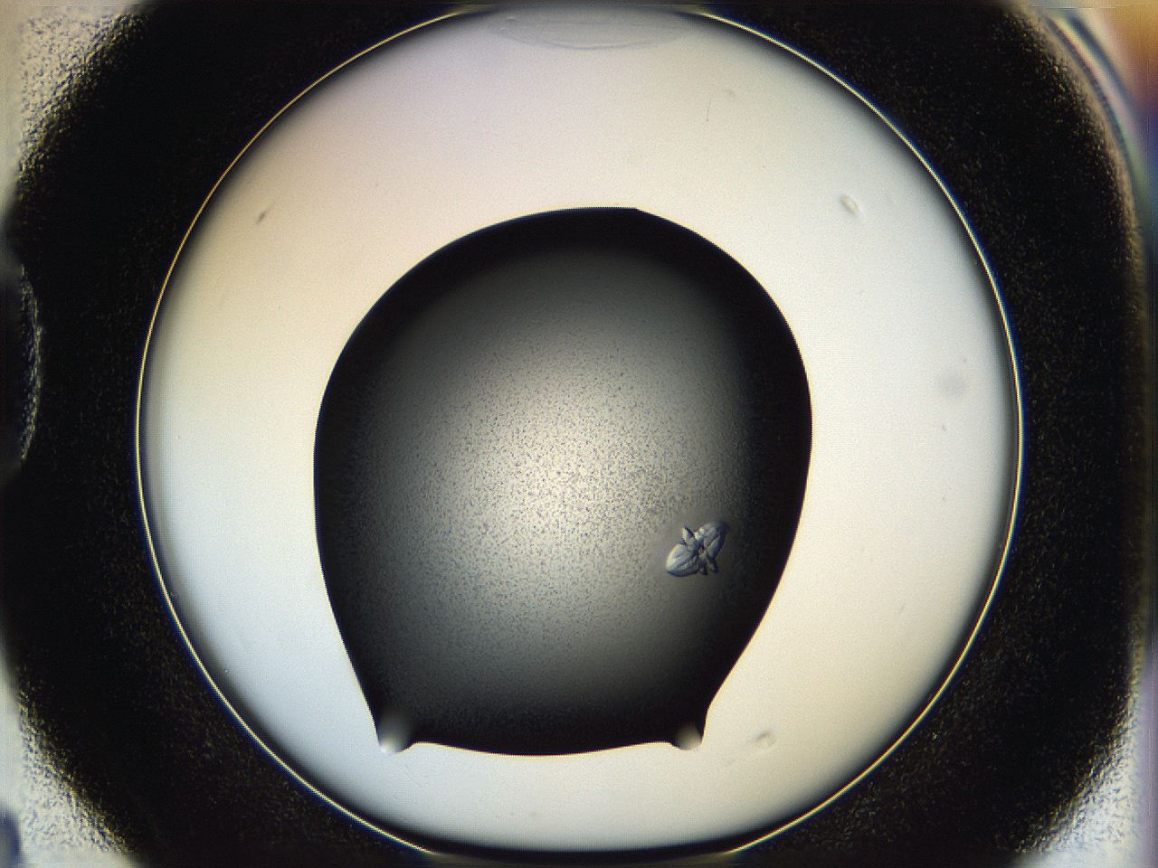 05hc_D4_ImagerDefaults_7.jpg