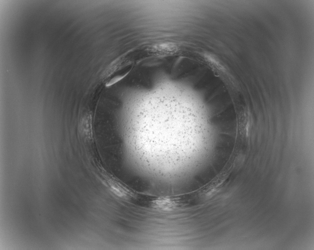 X0000054300425200508042315.png