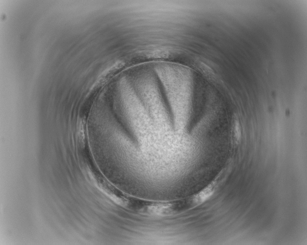 X0000055070172200508232338.png