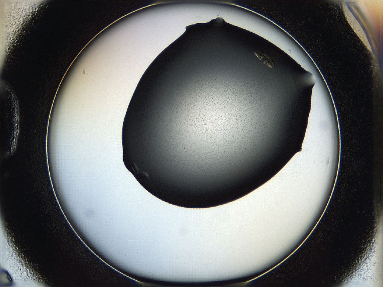 05hc_D6_ImagerDefaults_7.jpg