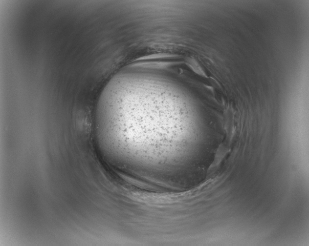 X0000054300040200508042321.png