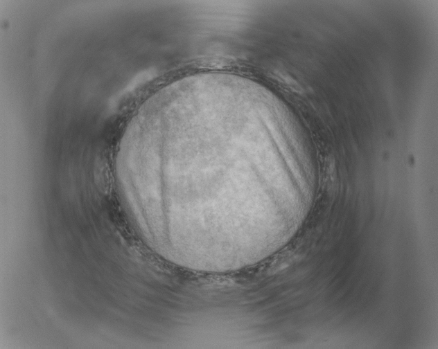 X0000054651446200508091629.png