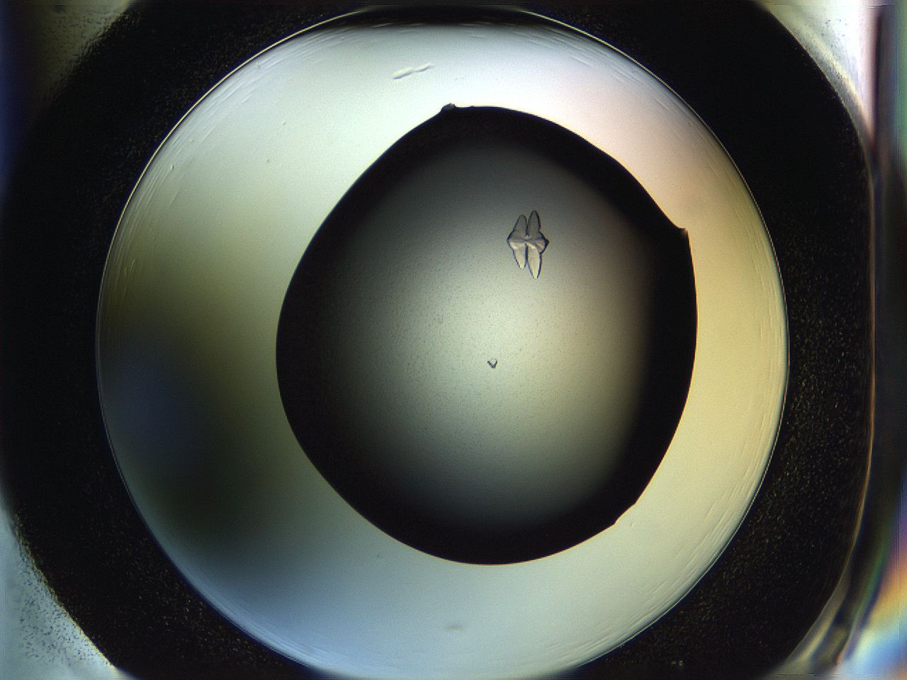 05hc_H1_ImagerDefaults_7.jpg