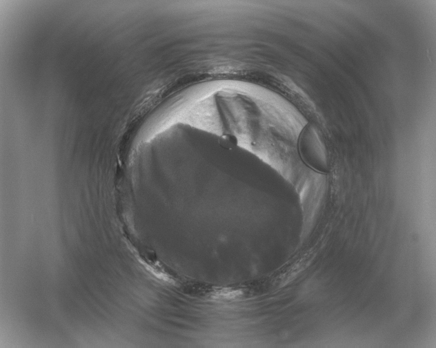 X0000054350257200508190136.png