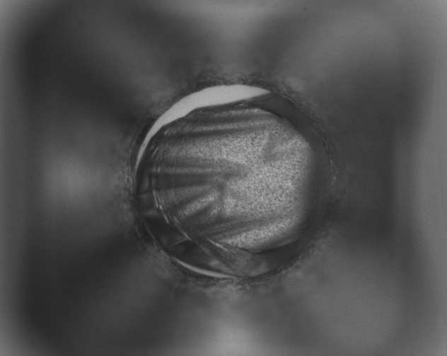 X0000045460624200502081420.png