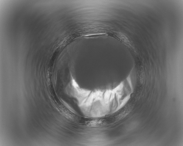 X0000054350366200508190134.png