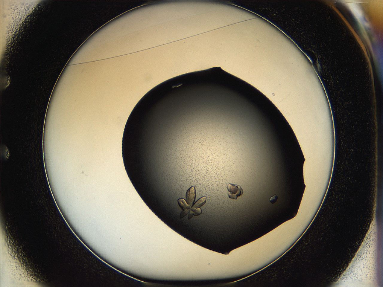 05hc_E1_ImagerDefaults_7.jpg