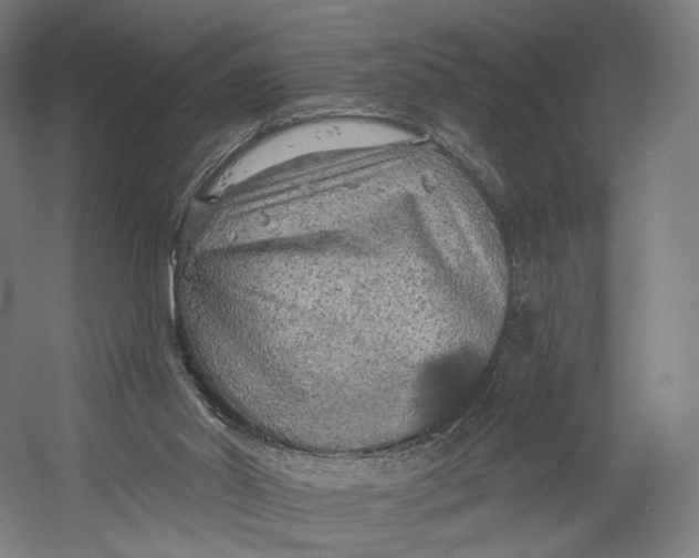 X0000055210014200508301334.png