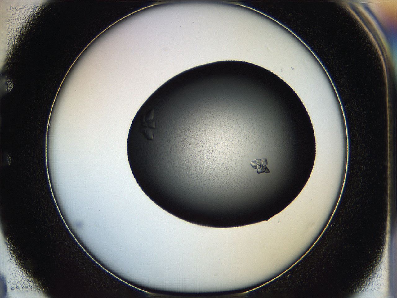 05hc_E4_ImagerDefaults_7.jpg