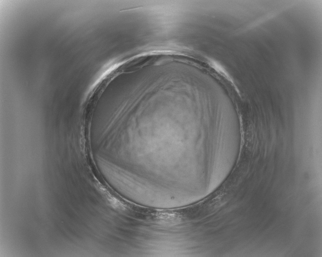 X0000054351456200508190116.png