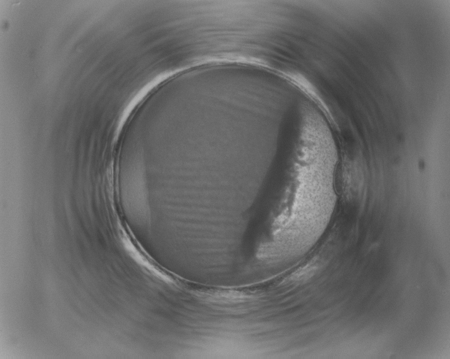 X0000054171100200508101753.png
