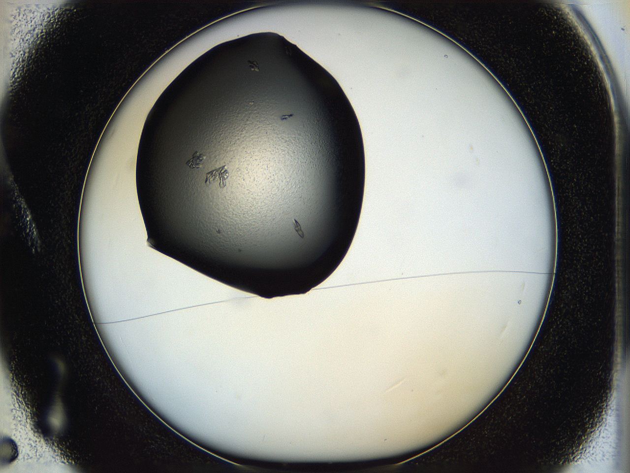 05hc_A5_ImagerDefaults_7.jpg
